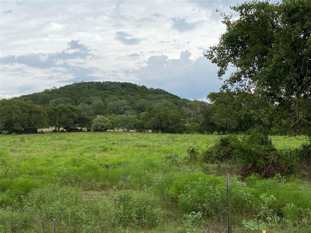 545 County Road 196 - Photo 1