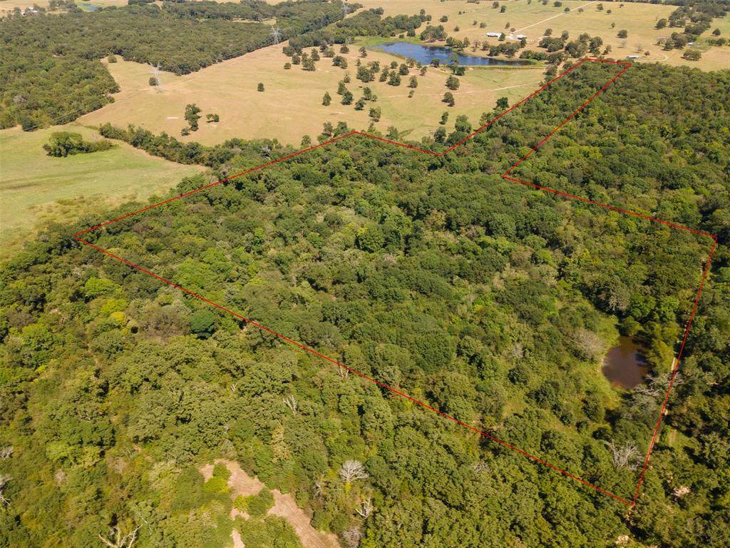 0000 County Road 1130 - Photo 1
