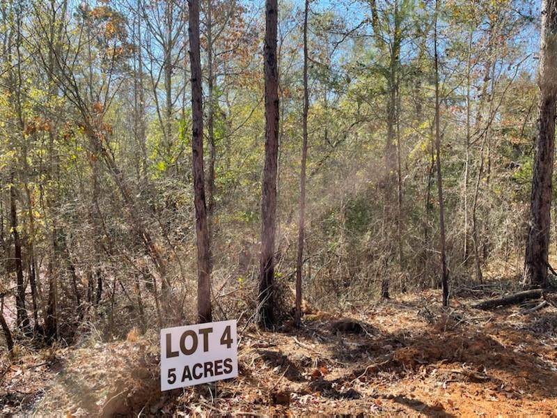 LOT 4 County Road 4609 - Photo 1