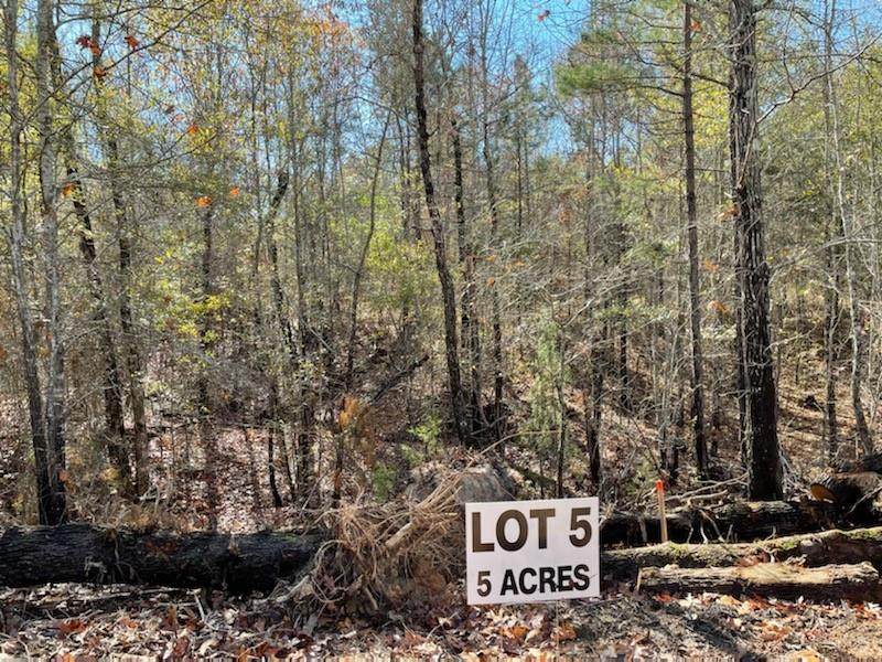 LOT 5 County Road 4609 - Photo 1