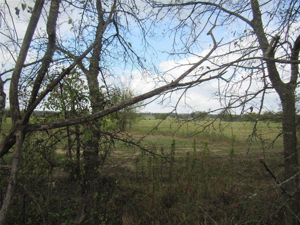 TBD 3 County Road 4581 - Photo 1