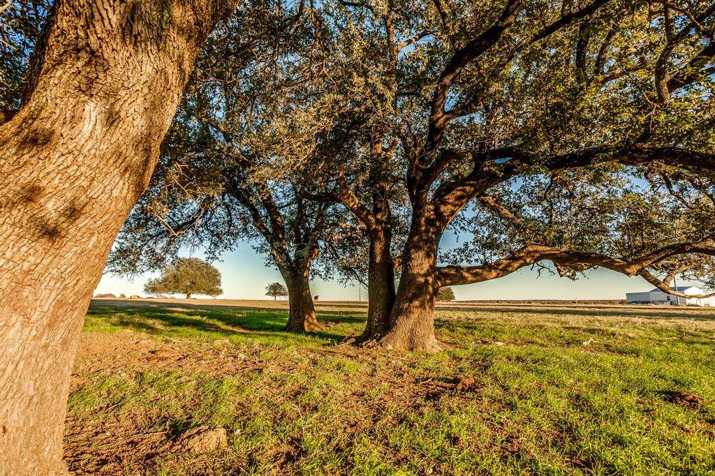 Lot 29 Hillside Ridge Court - Photo 1