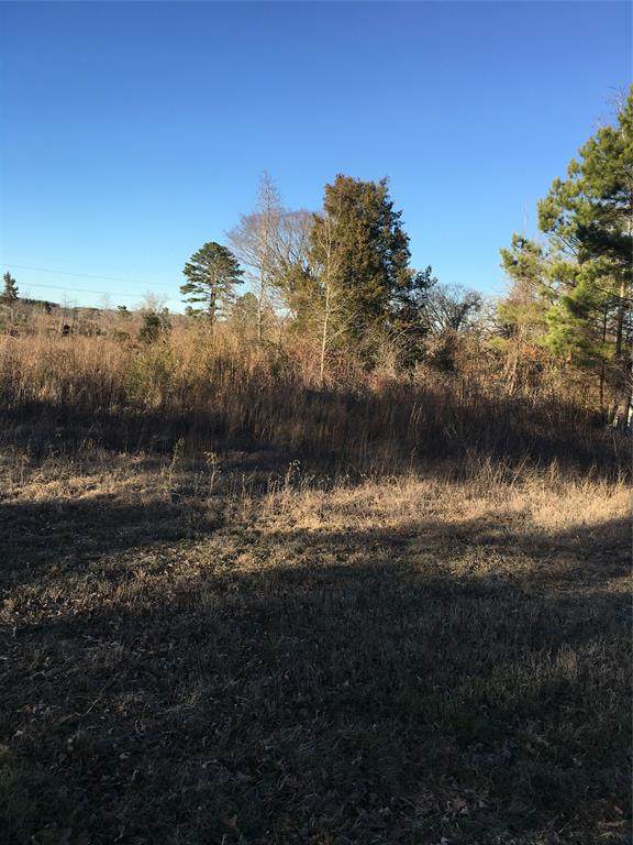 0 Cr 3204 Wilson Rd - Photo 1