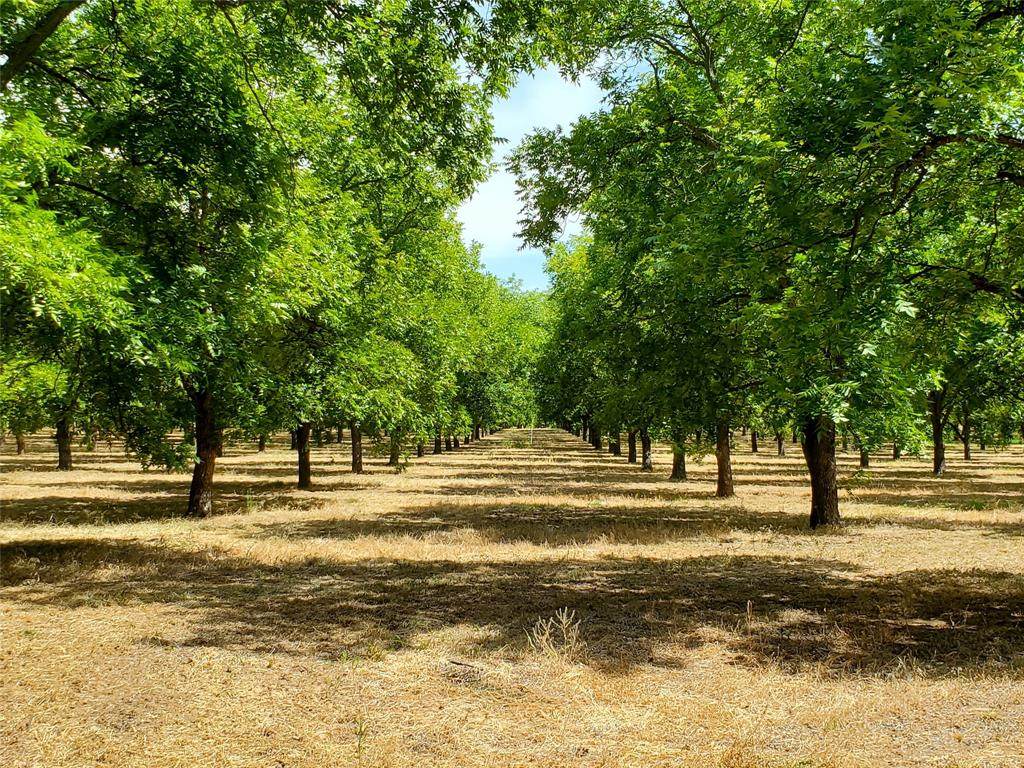 4283 Highway 2318 - Photo 1