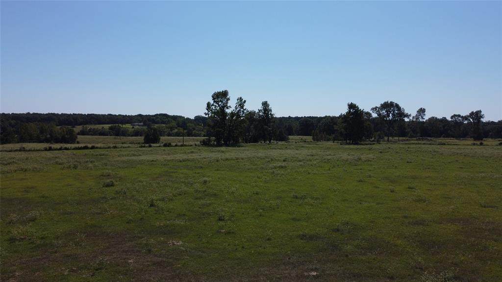 TBD 2 County Road 3270 - Photo 1