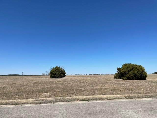 6728 Berkshire Drive - Photo 1