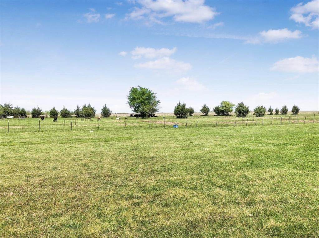 8229 Farm Road 905 - Photo 1