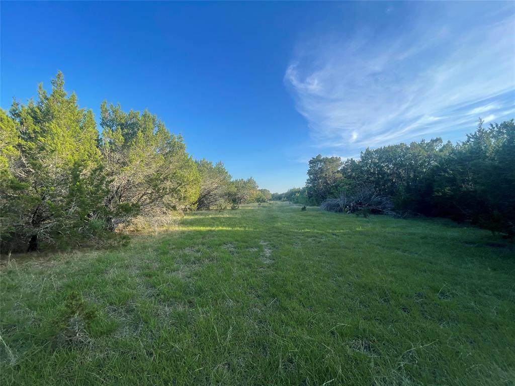 Lot 64 Fm 1602 - Photo 1