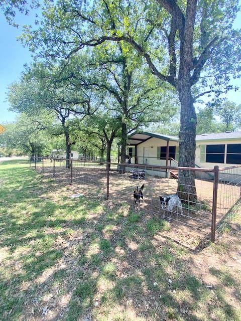 7235 Briar Road - Photo 1