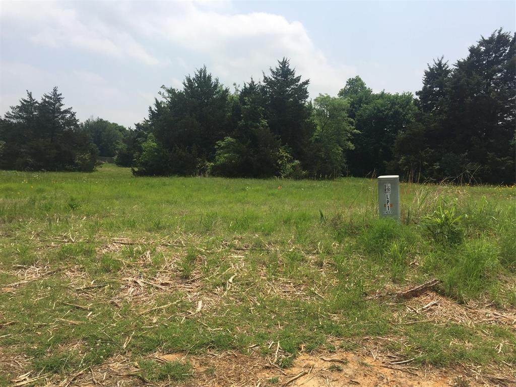 Lot 13 Hwy 120 - Photo 1