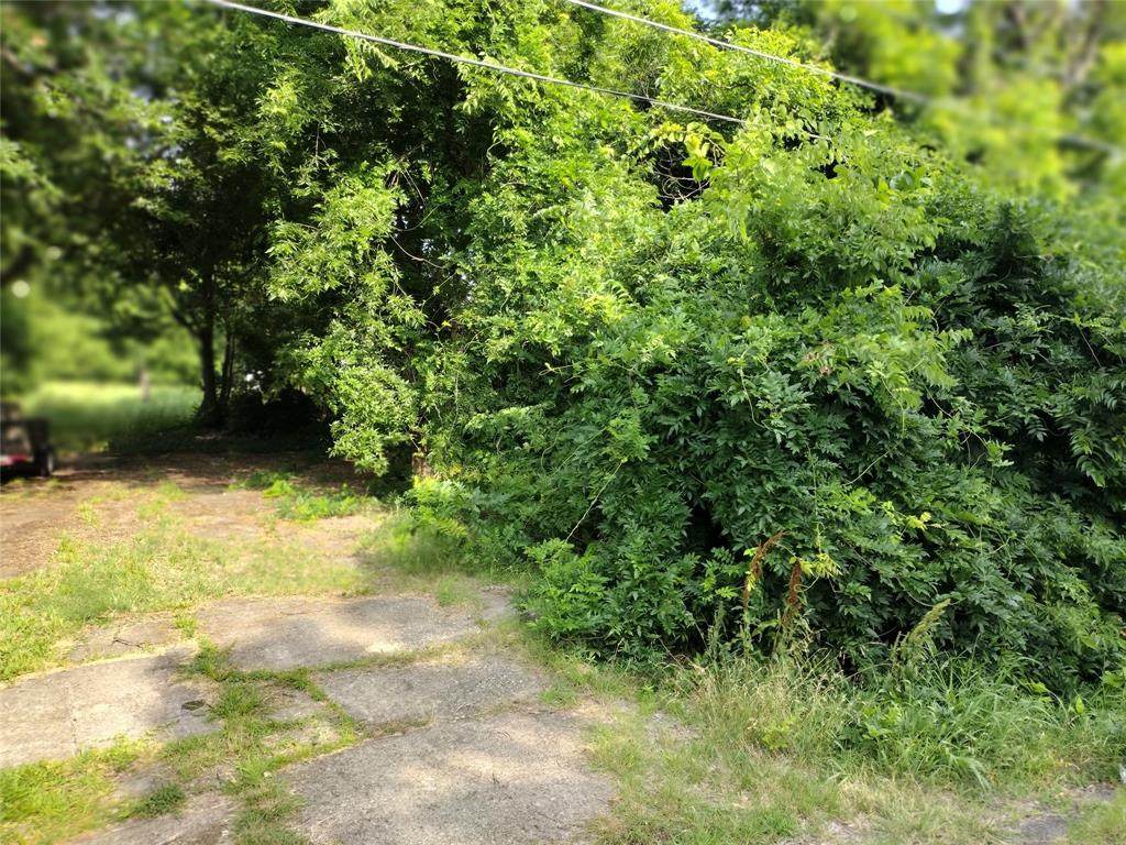 1004 Branch Street - Photo 1