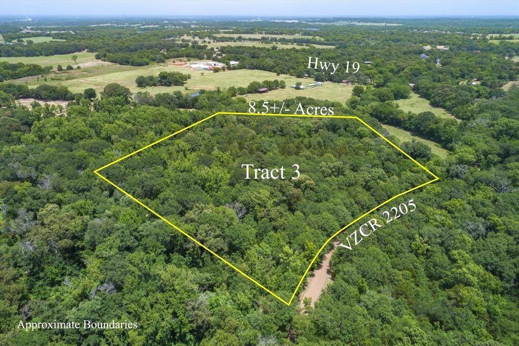 Tract 3 Vz County Road 2205 - Photo 1
