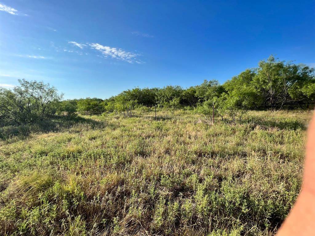 7464 Roller Road - Photo 1