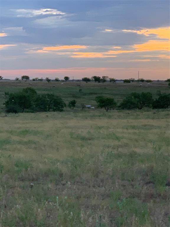 tbd County Road 4010 - Photo 1