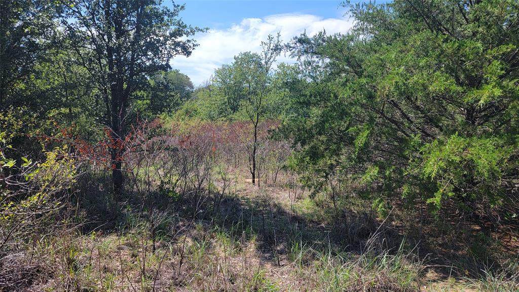 TBD Lot 8 Phillips Drive - Photo 1