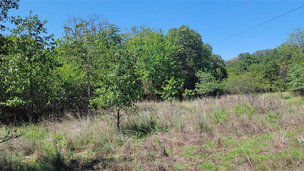 TBD Lot 4 Phillips Drive - Photo 1