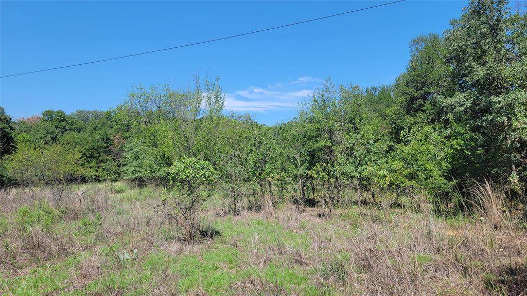 TBD Lot 2 Phillips Drive - Photo 1