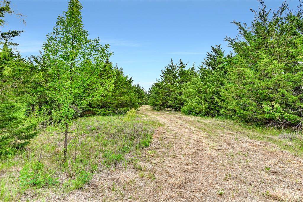 TBD Airport Road - Photo 1