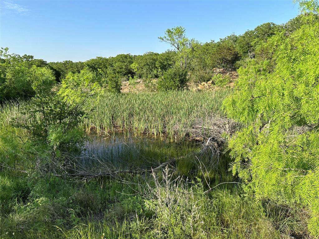 5730 Gobbler Hollow - Photo 1