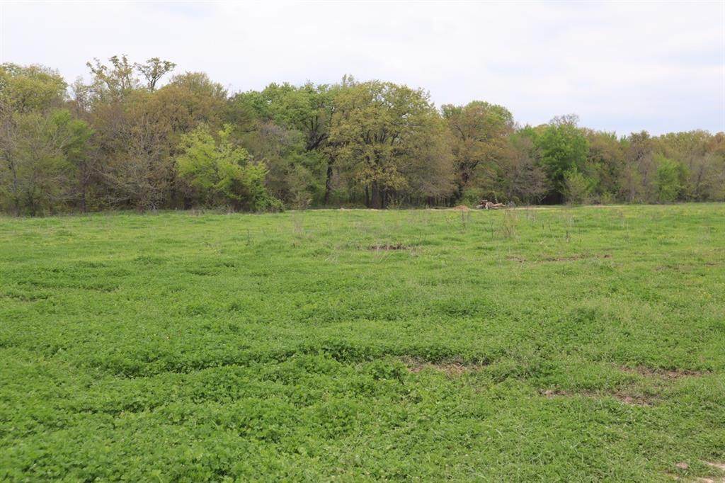 0 County Road 4764 - Photo 1