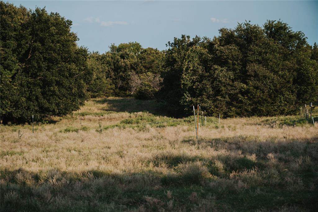 158 Bee Creek School House Road - Photo 1