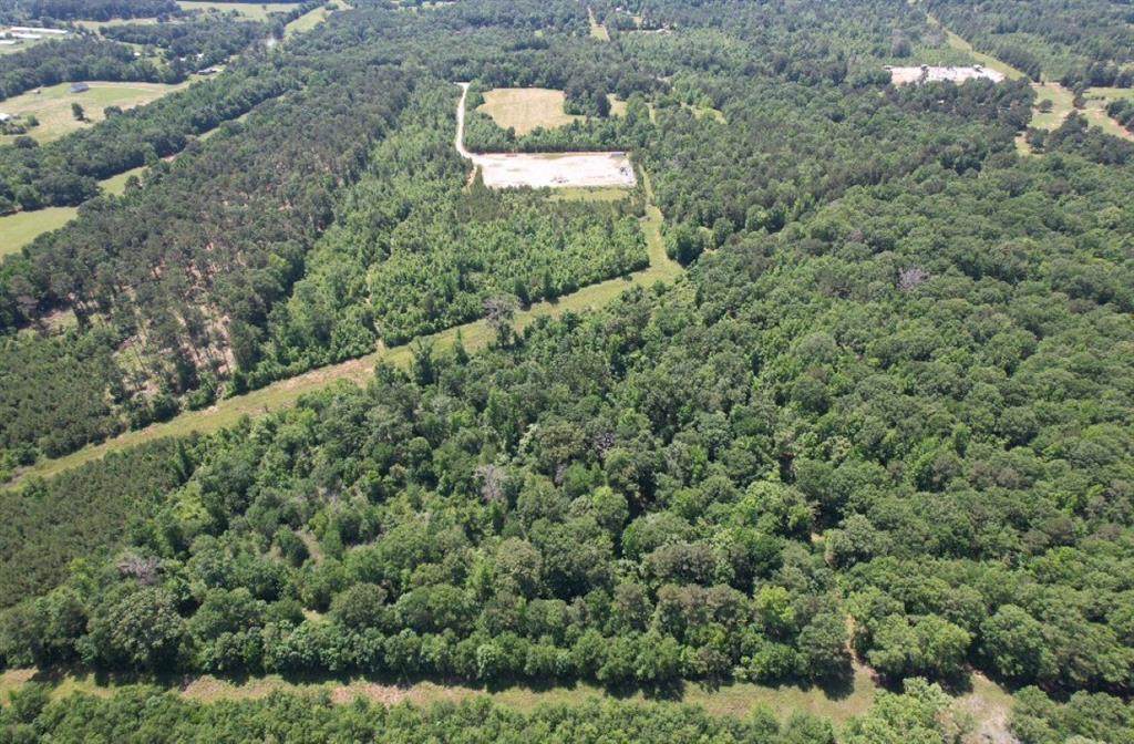 TBD County Road 432 - Photo 1