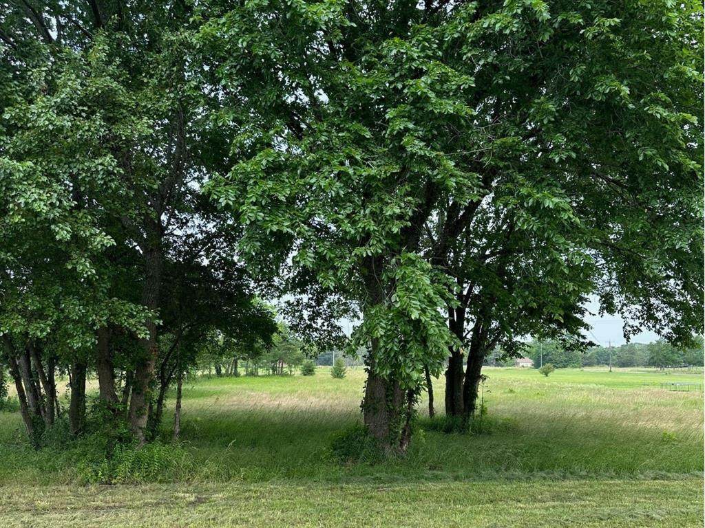 https://bt-photos.global.ssl.fastly.net/ntreis/orig_boomver_2_20622642-2.jpg