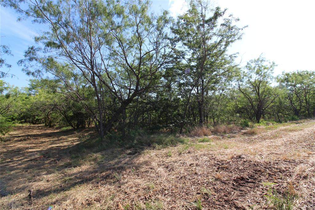 TBD Lot 7 Fm 2860 - Photo 1