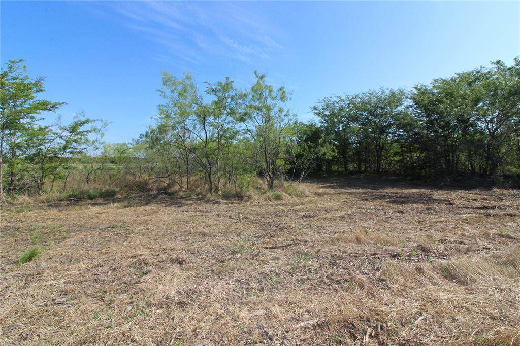 TBD Lot 9 Fm 2860 - Photo 1