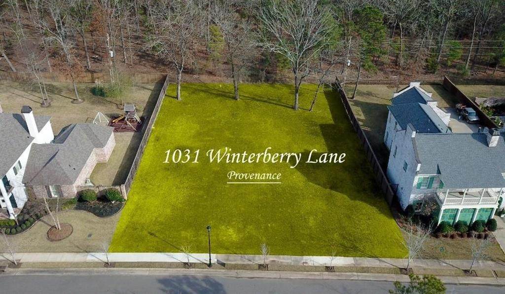 1031 Winterberry Lane - Photo 1