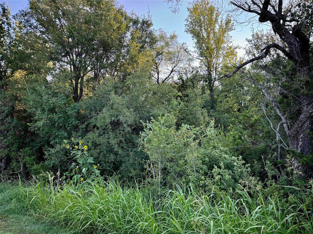 TBD County Road 1117 - Photo 1