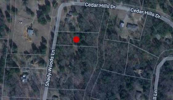 66 Shady Woods Lane - Photo 1