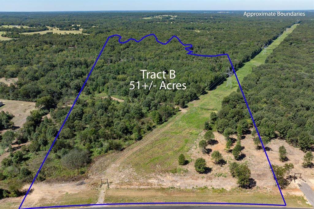 Tract B Hwy 69 - Photo 1