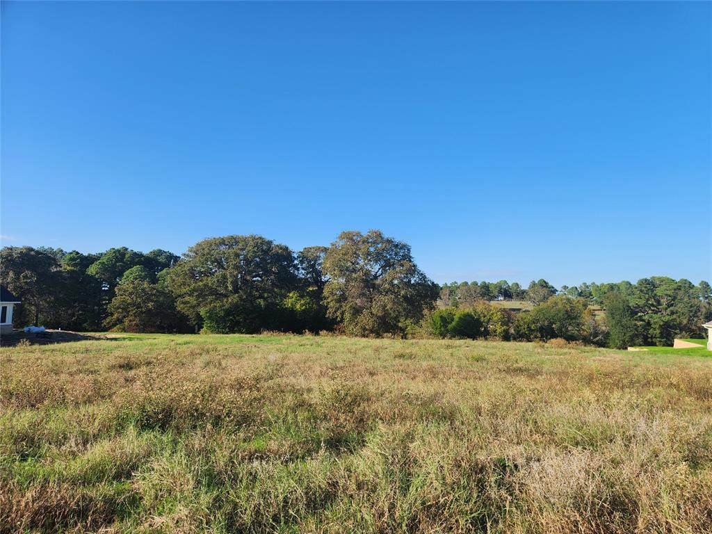 Lot 155 Lago Vista Drive - Photo 1