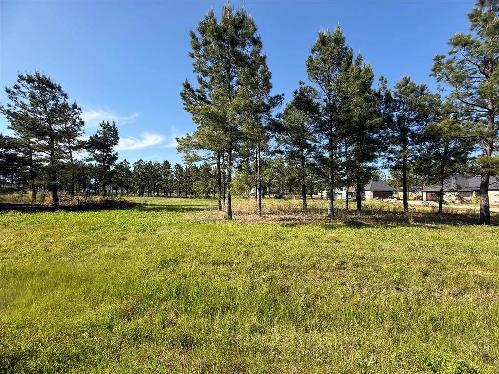 116 Faith Plantation Drive - Photo 1