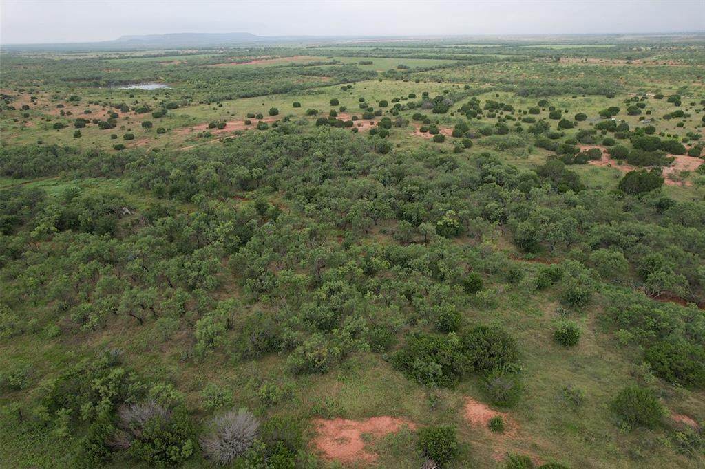 TBD County Road 175 - Photo 1