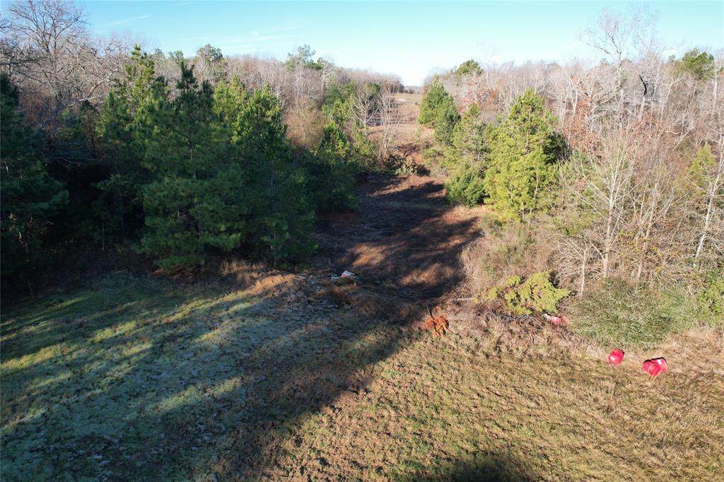 000 Fm 1511 Highway - Photo 1