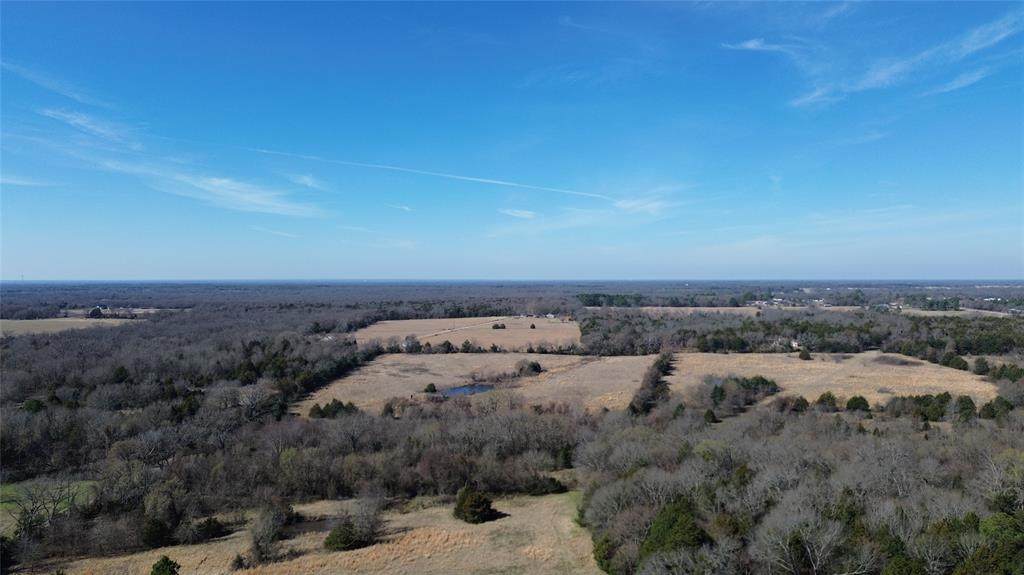 Lot 7 Rains Cr1140 Road - Photo 1