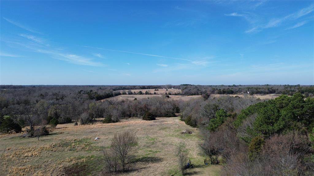 Lot 8 Rains Cr1140 Road - Photo 1