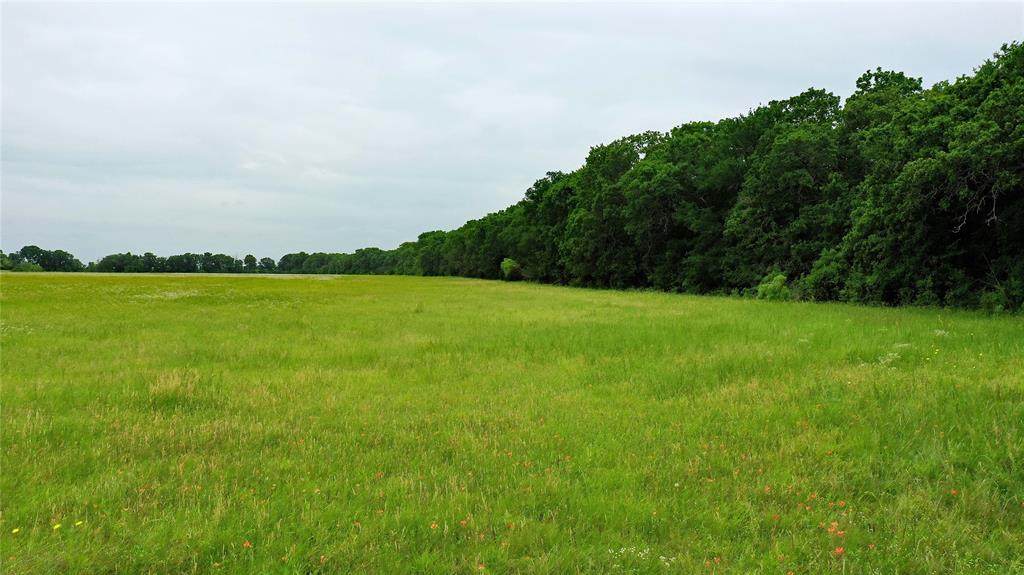 TBD County Road 1242 - Photo 1