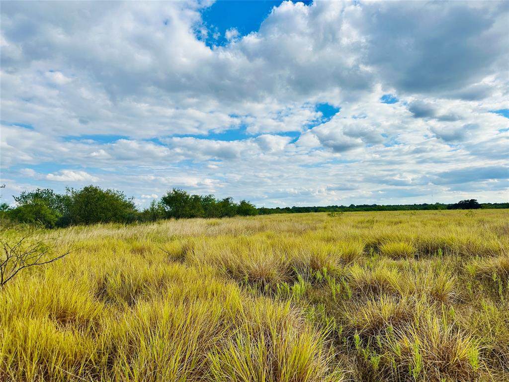 TBD County Road 106 - Photo 1