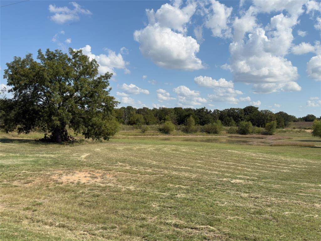 330 Rolling Ranch Boulevard - Photo 1