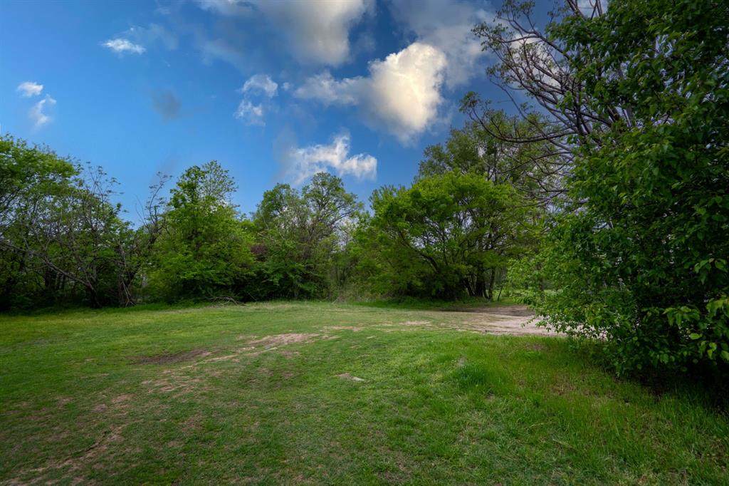 308 Mineral Wells Street - Photo 1