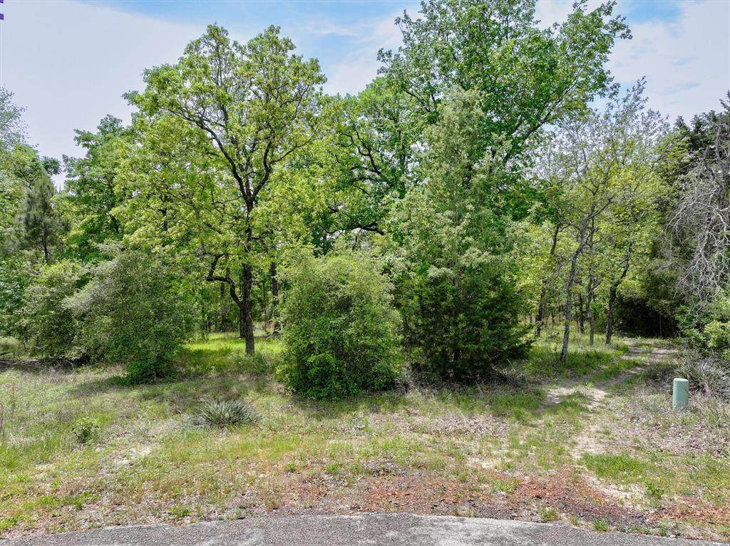 8950 Timber Ridge - Photo 1