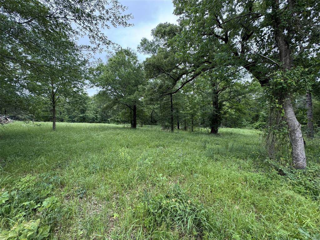TBD Rs County Road 3360 - Photo 1
