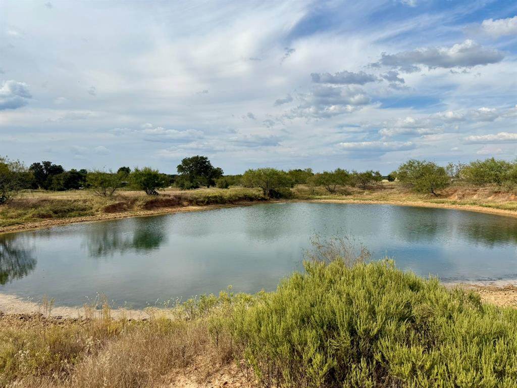 70+/- Acres Turner - Photo 1