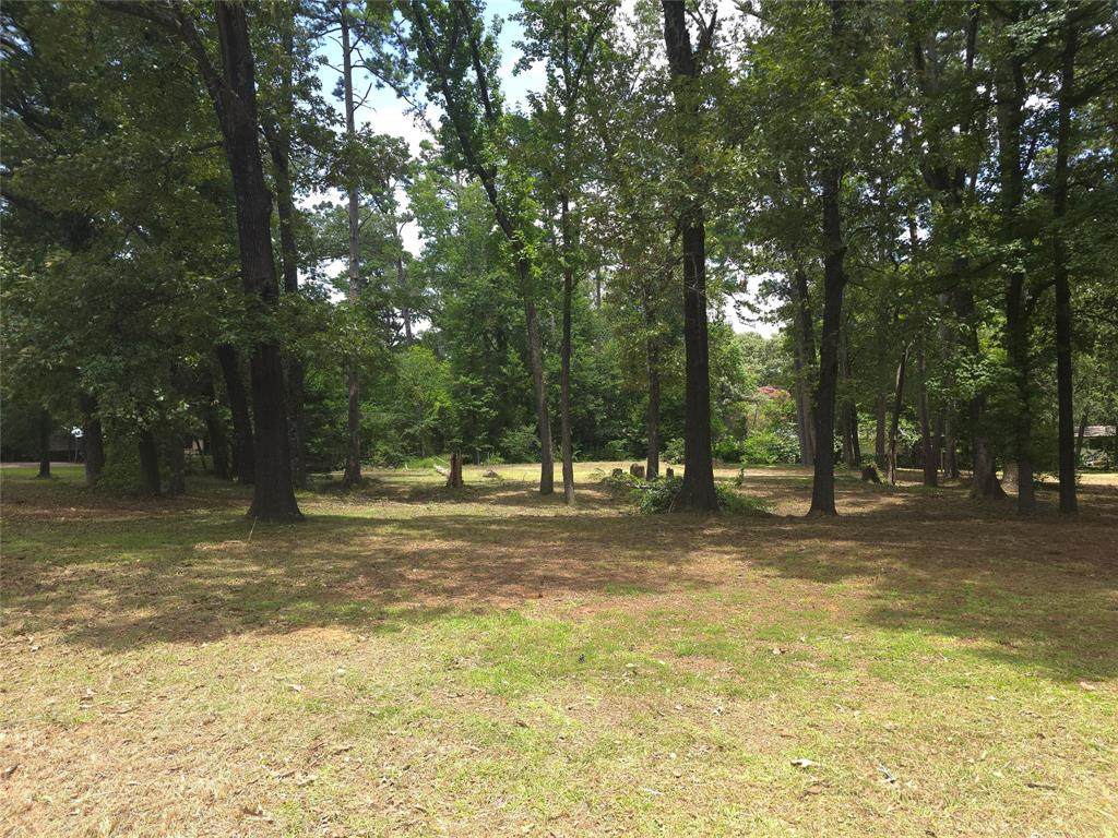 208 Mountain View Drive - Photo 1