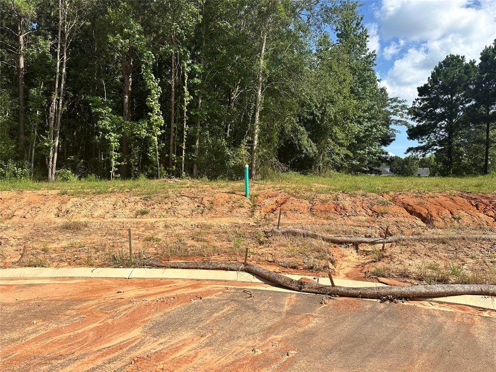 0 (Lot 75) Autumn Creek Circle - Photo 1