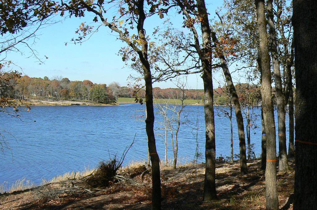 9122 Safari Bluff - Photo 1