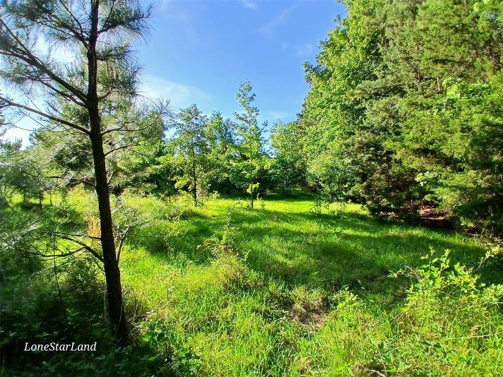 475 County Road 4421 - Photo 1